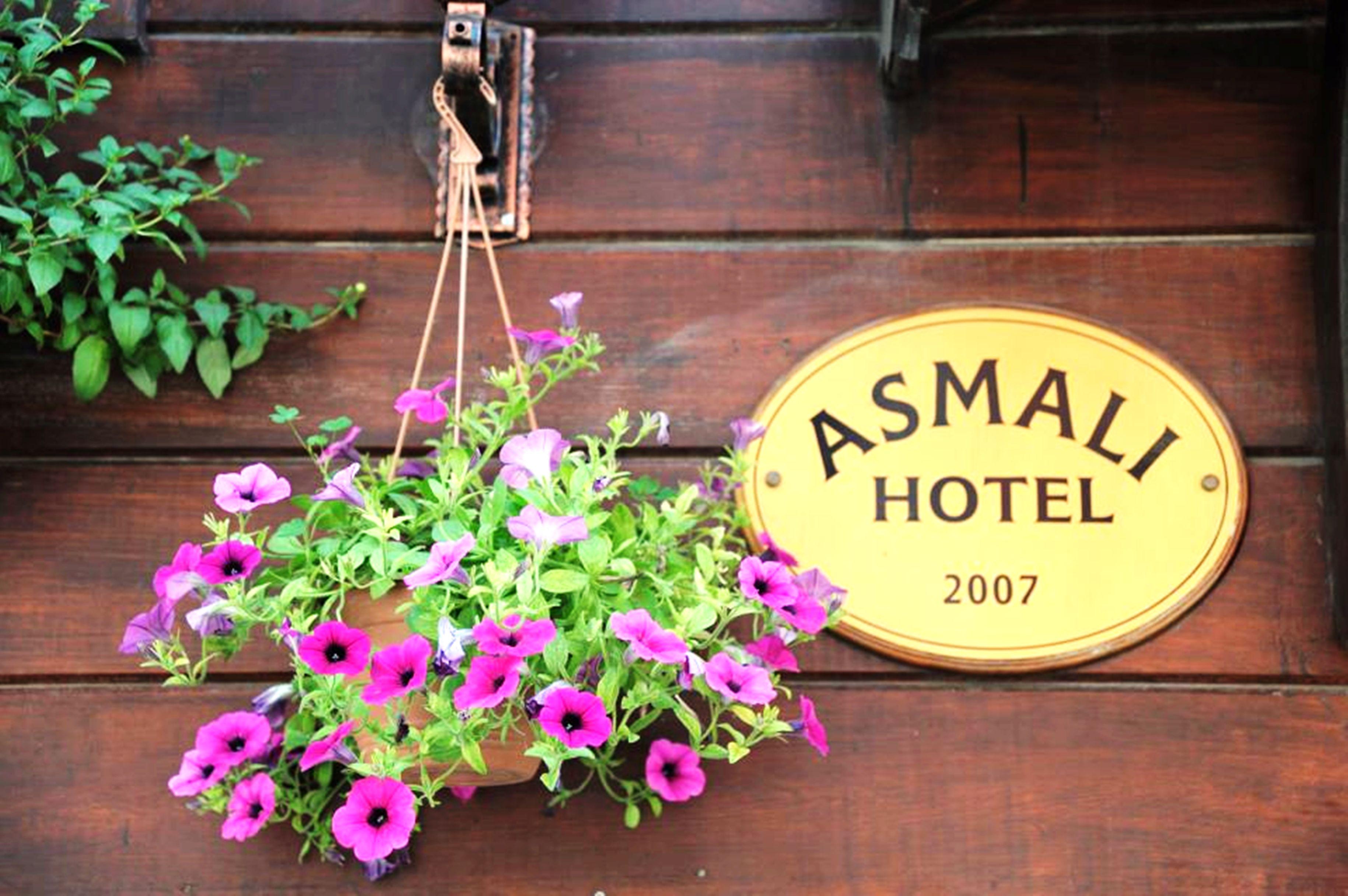 Asmali Hotel Stambuł Zewnętrze zdjęcie